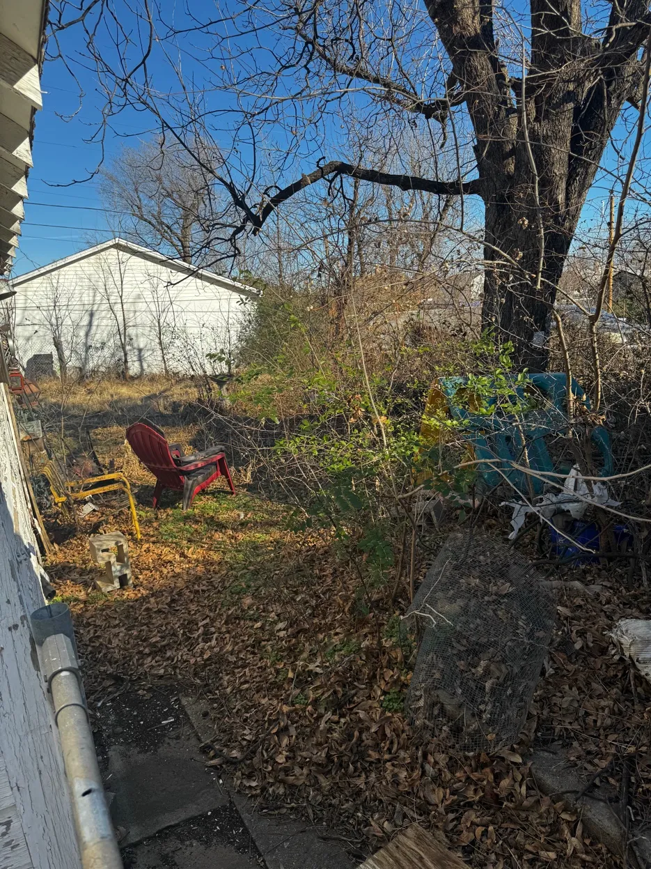 Overgrown yard area